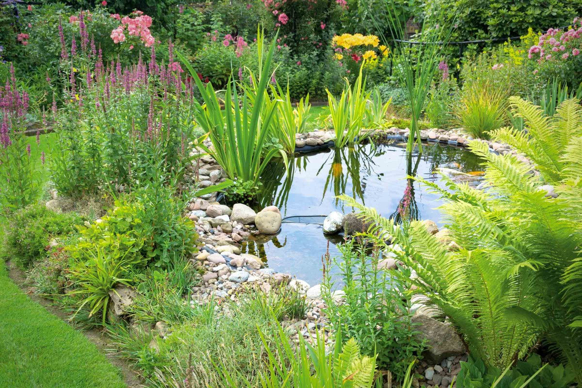 Bassin de jardin avec bordure en gravier dans un jardin luxuriant 