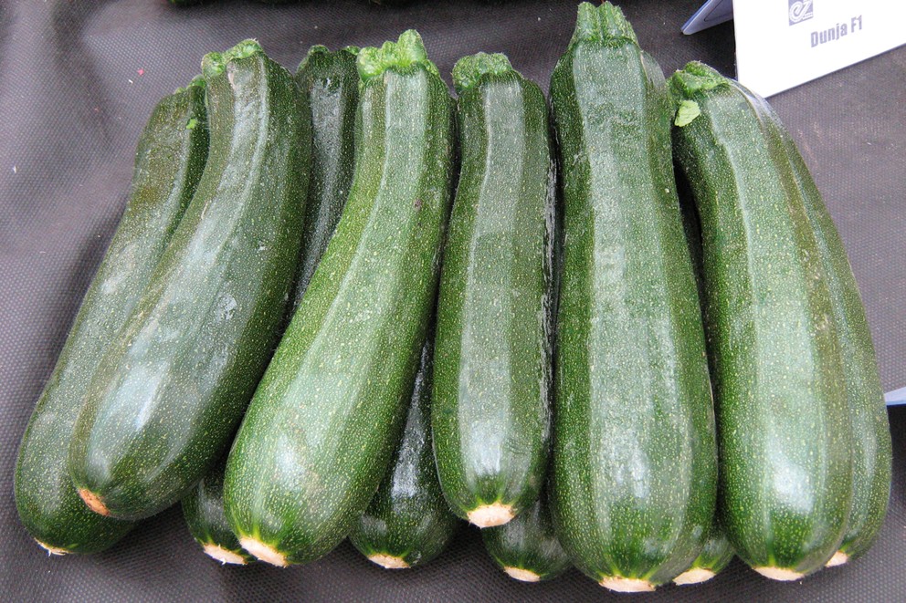 
			Courgette – courgette à grignoter

		