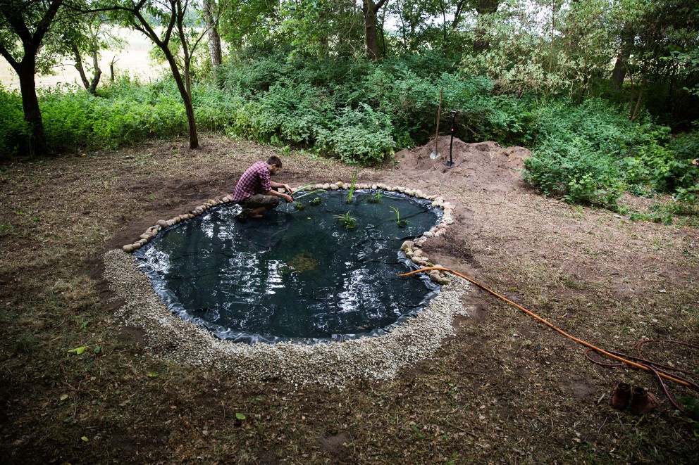 Tentons l'expérience: installer un étang de jardin