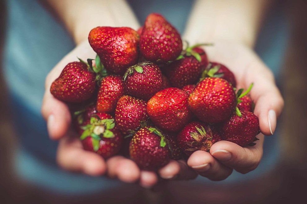 Erdbeeren pflanzen &amp; pflegen: HORNBACH zeigt wie&amp;#39;s geht!
