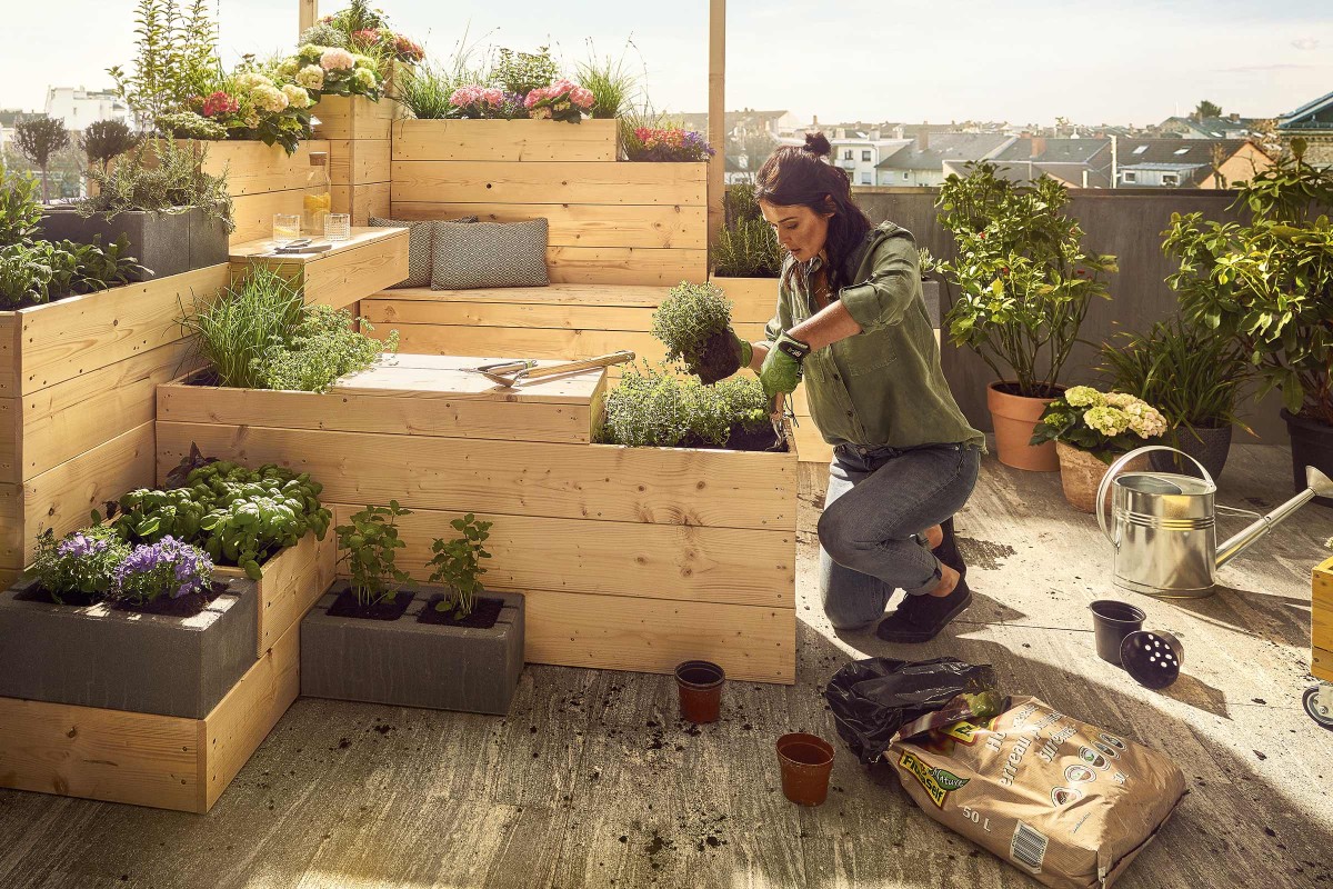 Urban Gardening 