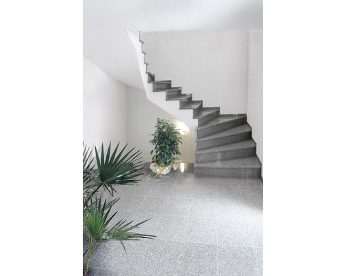 Granit Terrassenplatte grau 40x40x3 cm