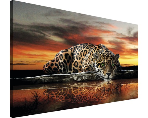 Keilrahmenbild Gepard 75x100 cm