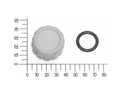 Ablasschraube klein mit O-Ring für FQ-GP 4.000 Gartenpumpe (5813016)