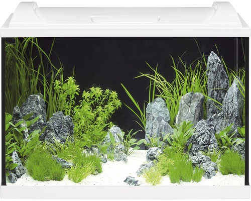 Lit d'aquarium Karlie 80x35x0.6 cm - HORNBACH