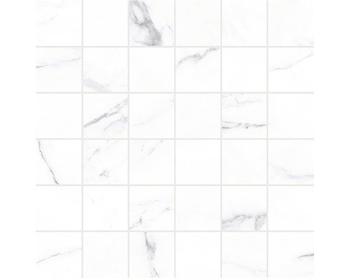 Feinsteinzeugmosaik Verona blanco 30x30 cm-0