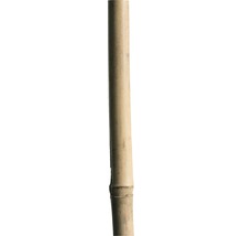 Tige en bambou 240 cm 20/ 22 mm, brun-thumb-0