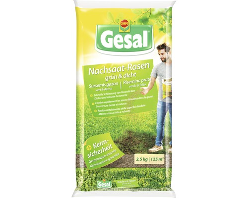 Gesal Nachsaat-Rasen grün und dicht 2,5 kg