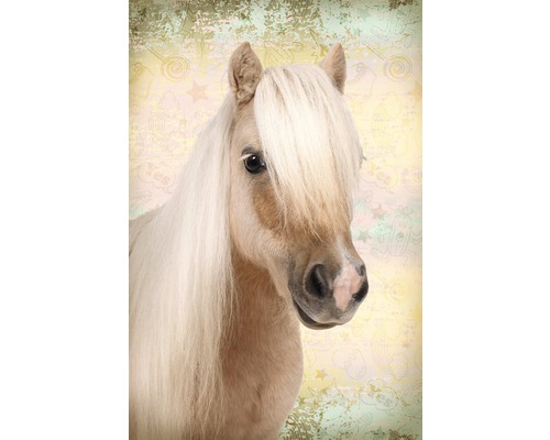 Poster Sweet Horse 61x91,5 cm
