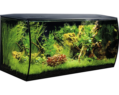 Aquarium FLUVAL Flex 123 l avec éclairage LED, filtre, support en mousse sans meuble bas noir
