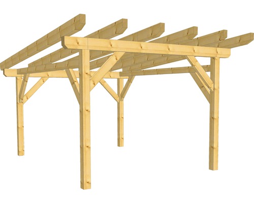 Construction en bois avec toit en appentis 350x300 cm