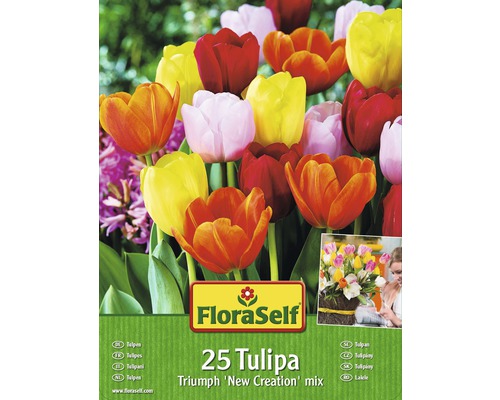Blumenzwiebel-Vorteilspack FloraSelf® Tulpen New Creation Mischung 25 Stk.