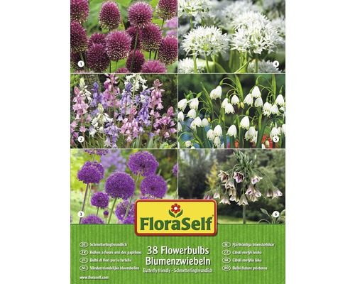 Blumenzwiebel-Vorteilspack FloraSelf® schmetterlingsfreundlich. 38 Stk.