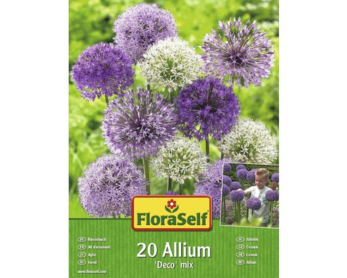 Blumenzwiebel-Vorteilspack FloraSelf® Zierlauch/Allium 20 Stk.