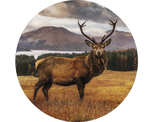 Metallbild Alu Deer In A Field Ø 98 cm