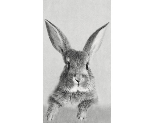 Dekopanel Rabbit 15x30 cm