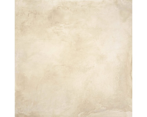 Feinsteinzeug Wand- und Bodenfliese Jasper beige 60x60 cm rektifiziert