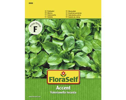 Feldsalat 'Accent' FloraSelf samenfestes Saatgut Salatsamen