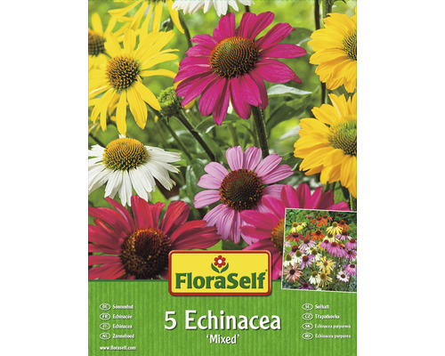 Echinacea Mischung FloraSelf Vorteilspackung 5 Stk