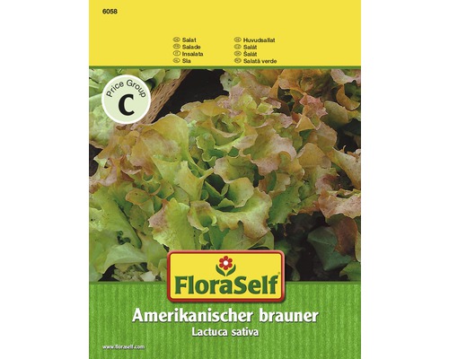 Salat 'Amerikanischer brauner' FloraSelf samenfestes Saatgut Salatsamen
