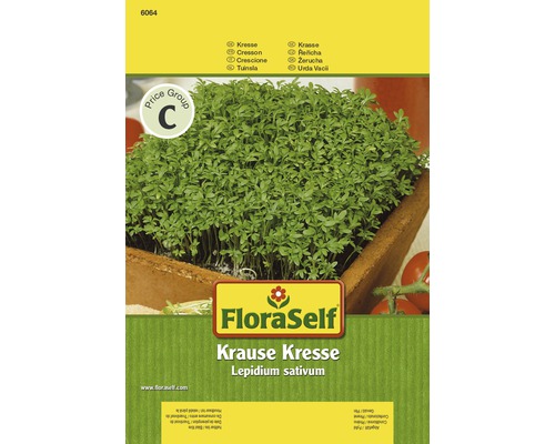 Kresse 'Krause Kresse' FloraSelf samenfestes Saatgut Kräutersamen