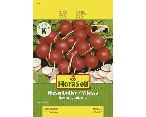 Radieschen 'Riesenbutter / Vitessa' FloraSelf samenfestes Saatgut Gemüsesamen