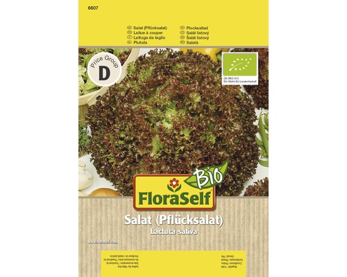 Bio Pflücksalat FloraSelf Bio samenfestes Saatgut Salatsamen