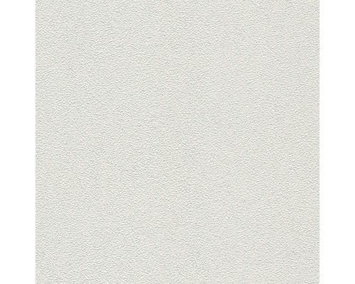 Papier peint intissé 3110-16 Meistervlies ProProtect enduit feutré blanc