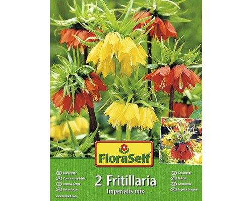 Blumenzwiebel FloraSelf® Kaiserkrone 'Aurora' & 'Lutea' 2 Stk