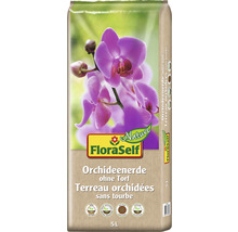 Rempotage des orchidées  Instruction de HORNBACH Suisse