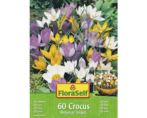 Blumenzwiebeln FloraSelf® Krokus 'Botanische Mischung' 60 Stk.