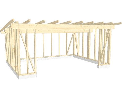 Structure en bois construction à ossature porteuse toit en appentis 500x650 cm