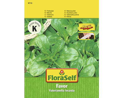 Feldsalat 'Favor' FloraSelf samenfestes Saatgut Salatsamen