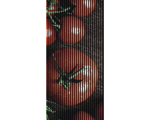 Plaque acrylique couleur 3x250x500 mm lisse rouge - HORNBACH