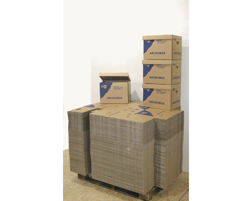 Palette Cargo Point Archivbox 400 x 320 x 300 mm 38 L, 200 Stück