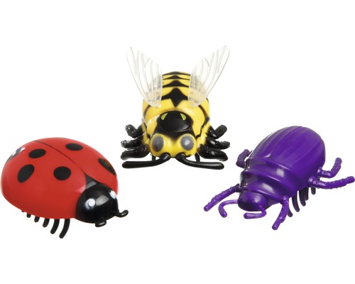 Katzenspielzeug Käfer, Biene, Spinne, farblich sortiert