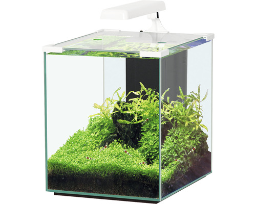 Aquarium aquatlantis Nano Cubic 30 mit Frostglasrückseite, LED-Beleuchtung, Filter, Heizer, Pumpe weiss (ohne Schrank)