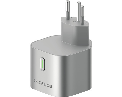Prise adaptateur Smart Plug Ecoflow