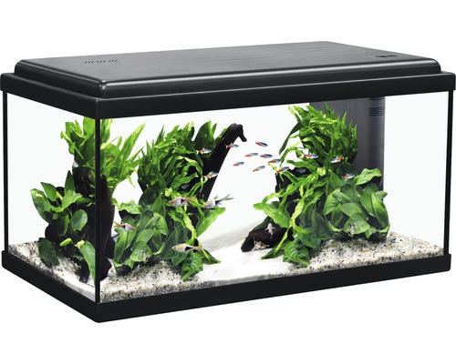 Aquarium Advance LED ohne Unterschrank schwarz