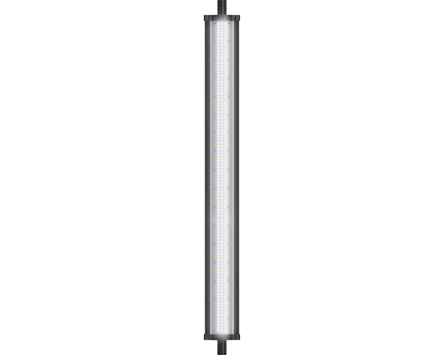 LED 590 mm - HORNBACH