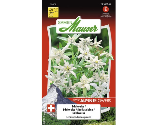 Edelweiss Blumensamen Samen Mauser