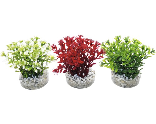 Sydeco Kunststoffpflanze Nano Flowering Bush 10 cm, farblich sortiert