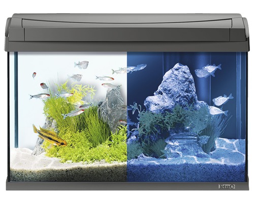 Aquarium Tetra AquaArt LED 60 l anthrazit, ohne Unterschrank