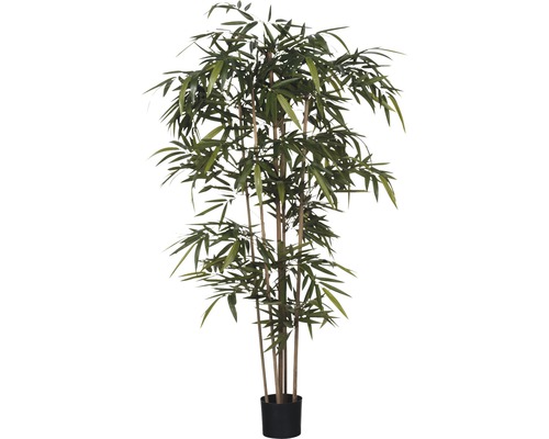 Kunstpflanze Bambus Höhe 180 cm, grün