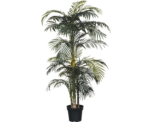 Palmier artificiel Palmier Areca golden Cane, hauteur 160 cm, vert