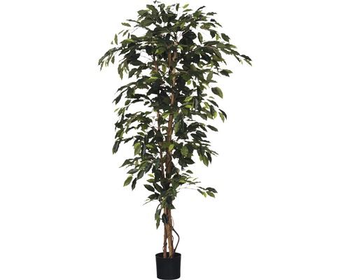 Kunstpflanze Ficus Benjamina, grün