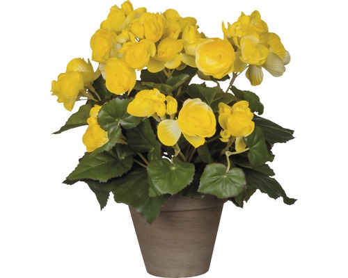 Fleur artificielle Bégonia, jaune