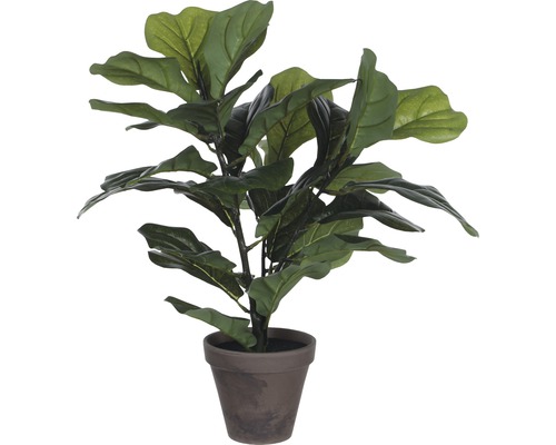Kunstpflanze Ficus lyrata, grün