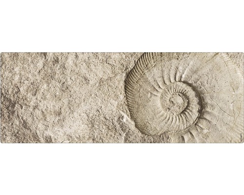 Badrückwand mySPOTTI aqua Fossil 120x45 cm