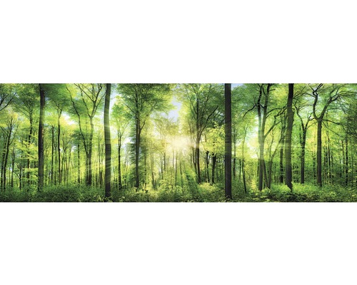 Keilrahmenbild Fresh Green 150x50 cm